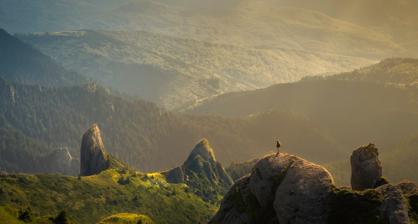An ancient, untouched world of mist-wrapped mountains, rivers, and deep forests.