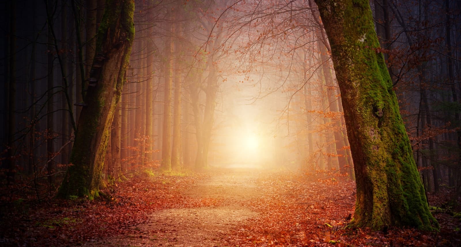 A mist-shrouded ancient path lit by a distant, otherworldly glow.